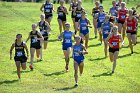 XC Wheaton & Babson  Wheaton College Women’s Cross Country compete at the 9th Annual Wheaton & Babson Season Opener on the Mark Coogan Course at Highland Park in Attleboro, Mass. - Photo By: KEITH NORDSTROM : Wheaton, XC, Cross Country, 9th Annual Wheaton & Babson Season Opener